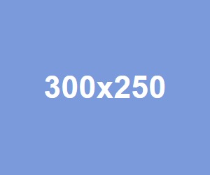 300 x 250 像素廣告圖範例